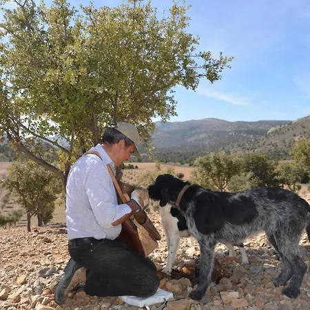 Casa Alhambras Manzanera