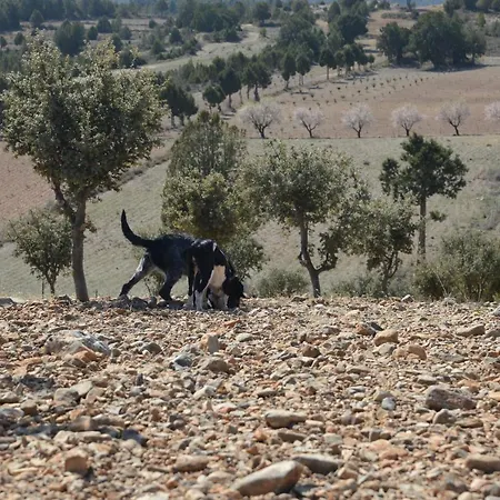 Casa Alhambras 別荘 マンザネラ