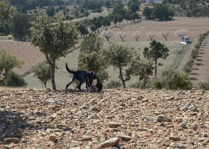 Casa Alhambras Tatil Evi Manzanera